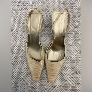 Snake skin